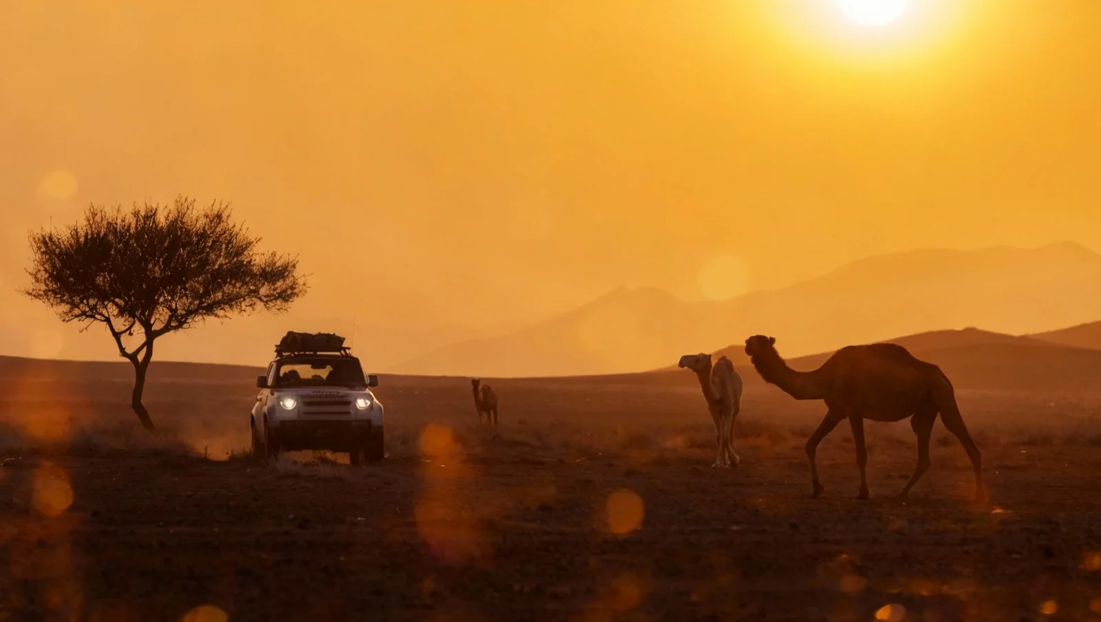 Dakar in Arabia Saudita: l'off-road estremo che non ti aspetti