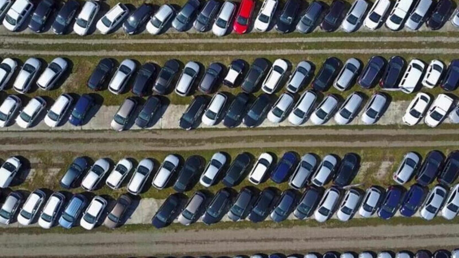 Noleggio veicoli al 31,6% del mercato: volano breve termine e PHEV